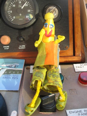 [VOYAGER0872.jpg]