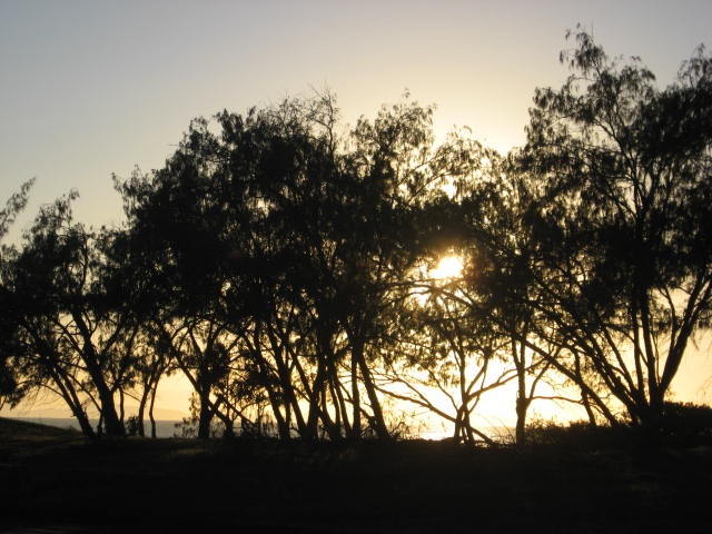 [CASSADYBEACH0052.jpg]