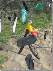 CASSADY BEACH 040