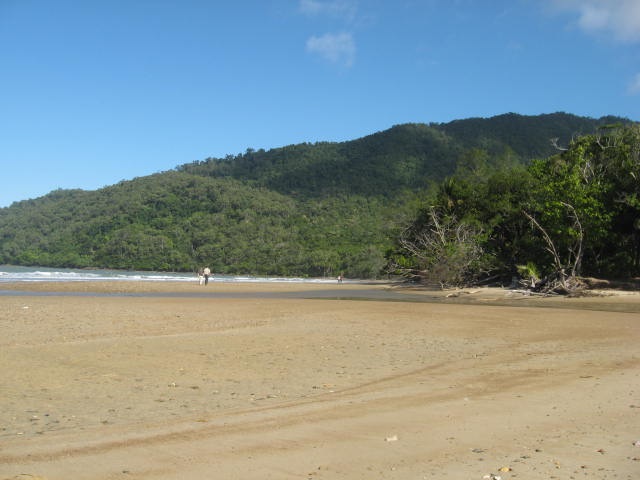 [DAINTREE0312.jpg]