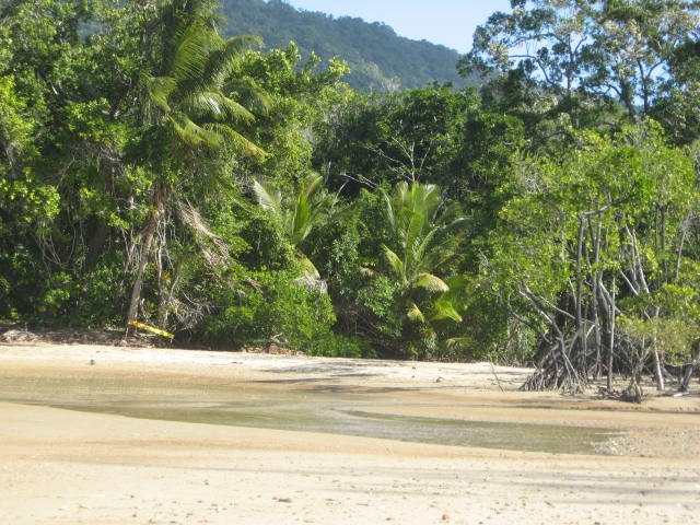 [DAINTREE0322.jpg]