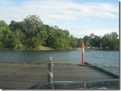 DAINTREE 046