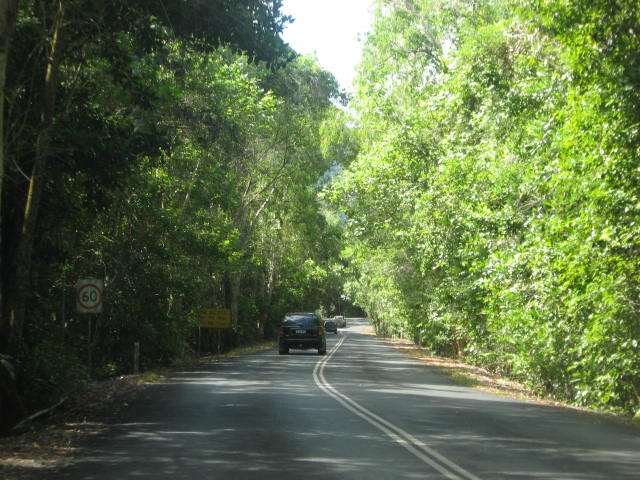 [DAINTREE0192.jpg]