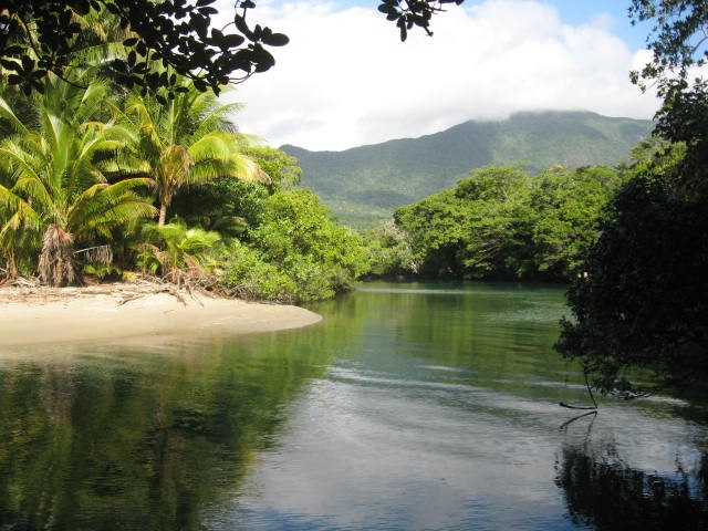 [DAINTREE0352.jpg]