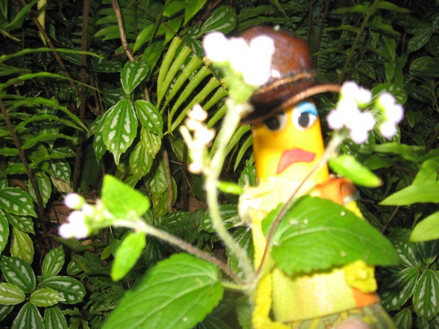 [PARONELLAPARK0292.jpg]
