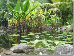 COOL WATERS 014