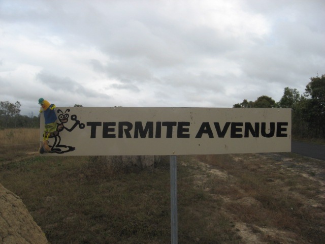 [MAREEBA0182.jpg]