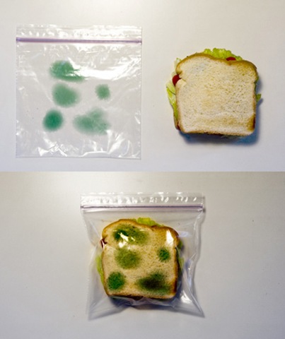 [sandwich20bolsa20moho11.jpg]