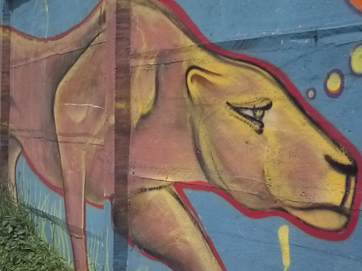 Puma En Grafiti