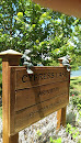 Cypress Lake Sitting Toads