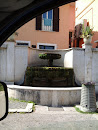 Fontana Muschiata