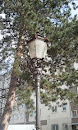 Old Street Lantern 