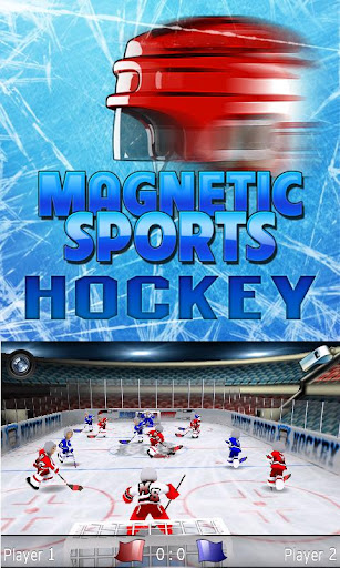 Magnetic Sports Hockey Lite