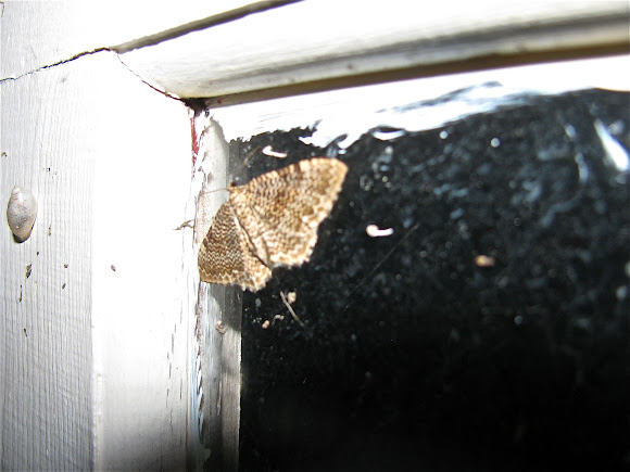 Spotting Image 1