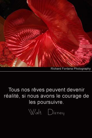 French Photo Quote