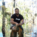 Alligator Snapping Turtle (King Koopa)
