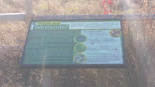What are Wetlands Plaque