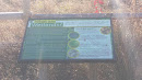 What are Wetlands Plaque