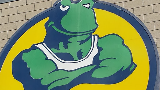 Strong Frog