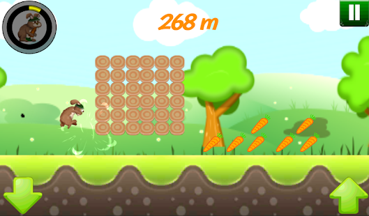 download Bunny Run 2D free