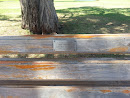 Mary Robinson Memorial Bench