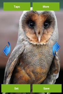 How to mod Owls Wallpapers 2.0.0 mod apk for pc