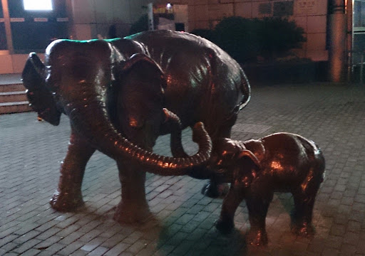 大象和小象 Two Elephants