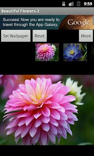 How to download Beautiful Flowers-2 patch 1.0.1 apk for laptop