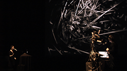 <p>
	'Water to Bone' by jamie griffiths &amp; Viviane Houle. Isadora programming by jamie griffiths. KnotPlot by Rob Scharein. Kenaxis &amp; Max/Msp by Stefan Smulovitz.</p>
