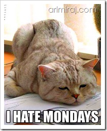 Monday_1105031506_13