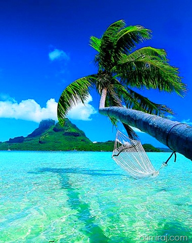 [Bora-Bora[8].jpg]