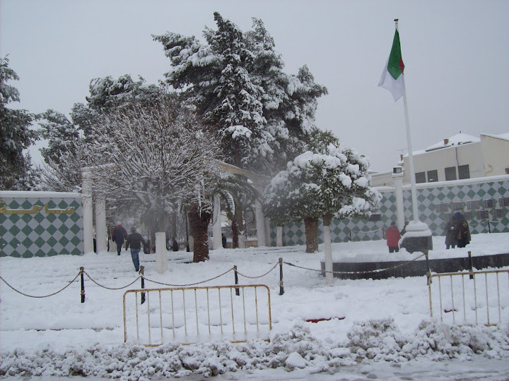 Photo%20114.jpg