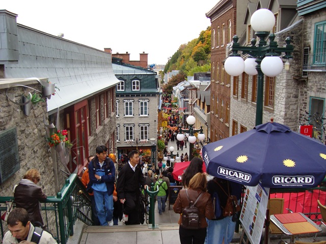 [DSC01621[2].jpg]