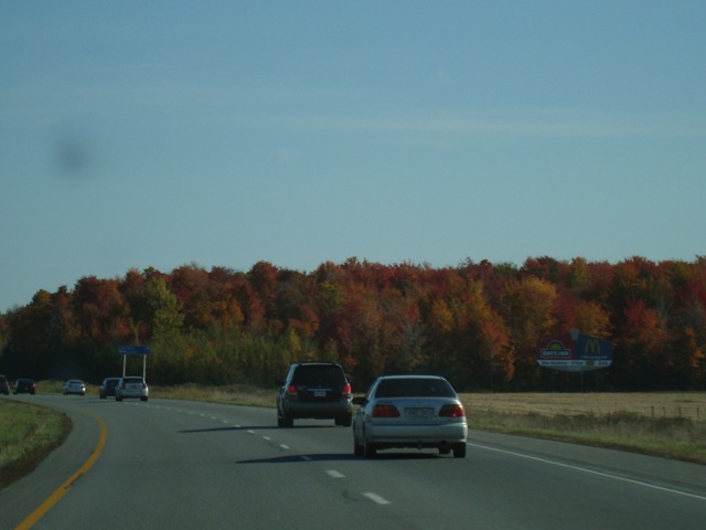 [DSC015022.jpg]