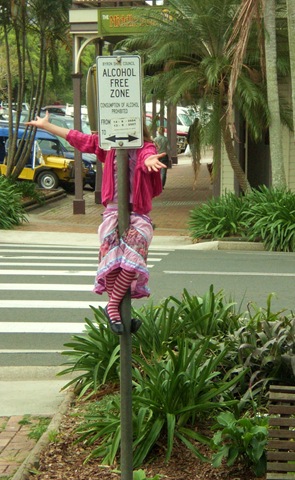 [14 pole climbing[8].jpg]