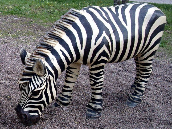 Playground zebra