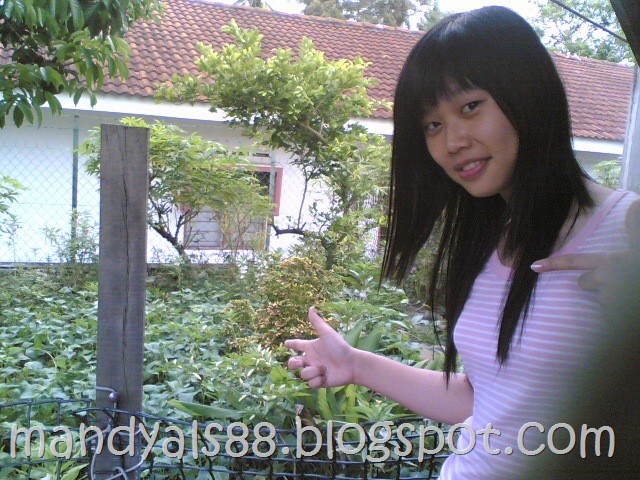 [01102008(014)[2].jpg]