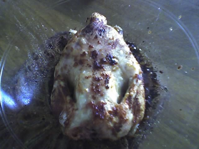02-10-08_1615.jpg