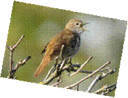 [clip_image010[3].gif]