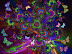 Fractal Art