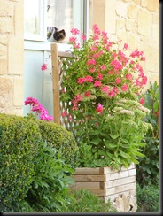 Sanvignac (Dordogne) (4)