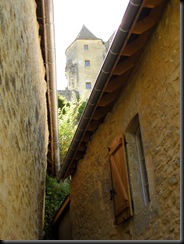 Sanvignac (Dordogne) (17)