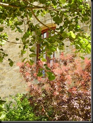 Sanvignac (Dordogne) (39)