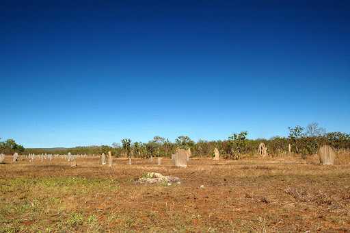 Termite Mounds Termite Mounds