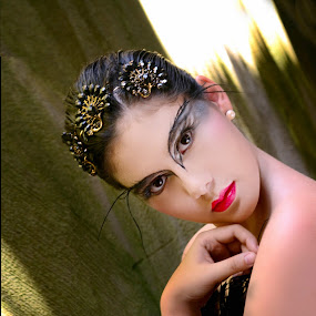  blackswan2.jpg