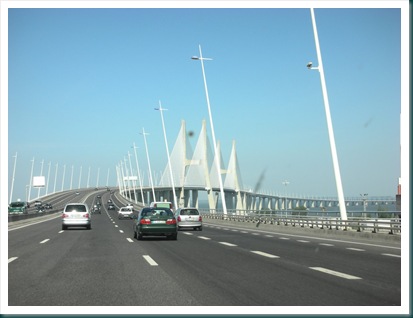 5. Vasco da Gama Bridge