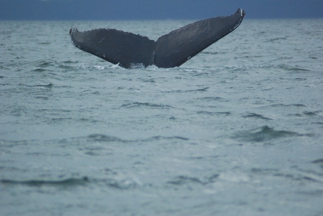 [Alaska 0908 095[2].jpg]
