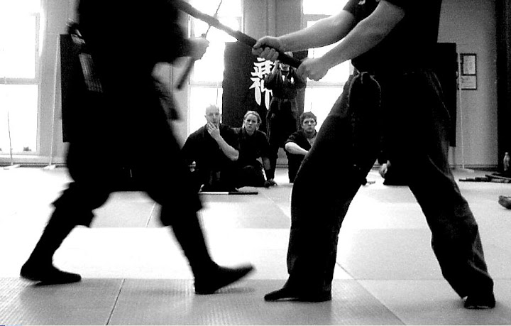 2008 Yoshimin Taikai Budapest Bujinkan