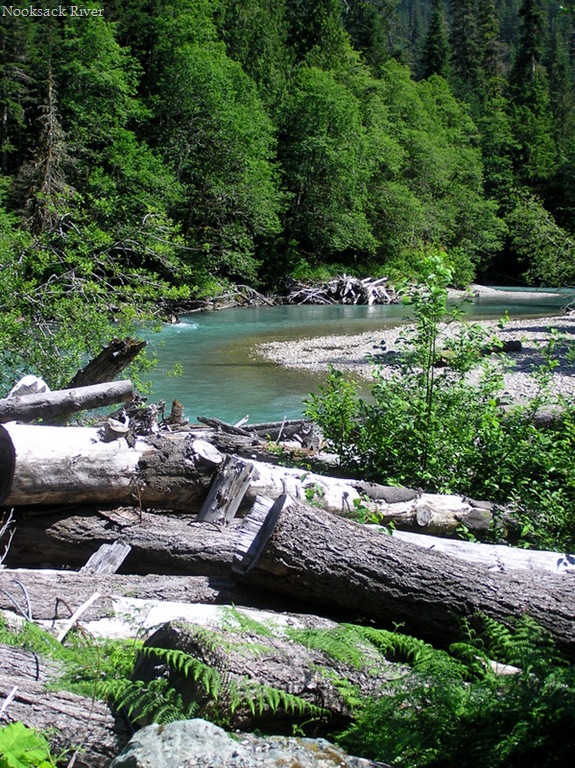 [P1010153-1[15].jpg]