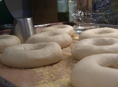Making Homemade Bagels